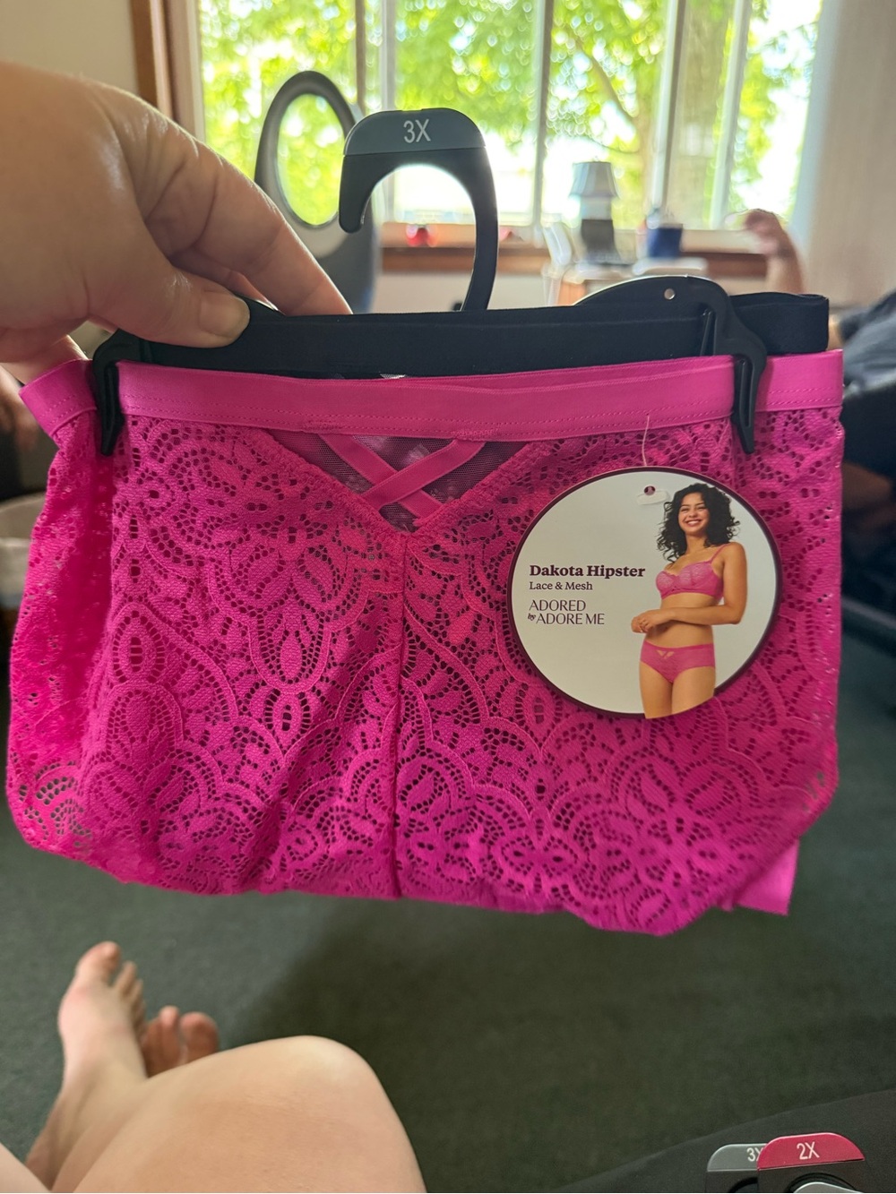Adore Me Dakota Hipster Lace & Mesh Panty in Hot Pink